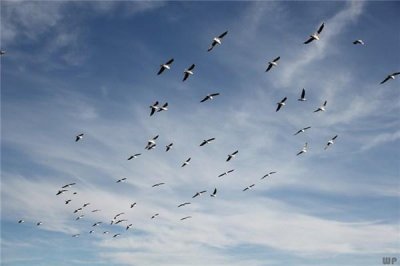 ​最励志的句子句句正能量(总结得太精辟了)