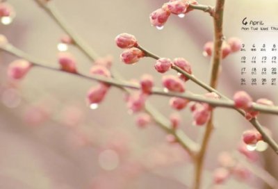 ​琅琊榜经典台词