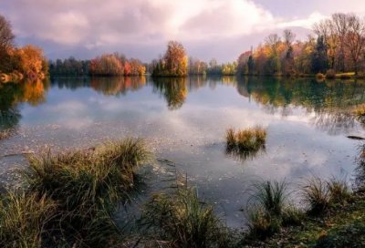 ​怦然心动经典台词