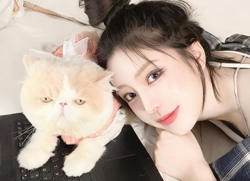 有内涵的句子说说心情[40条]