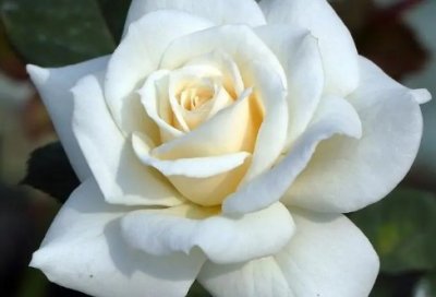 ​非常扎心的语录