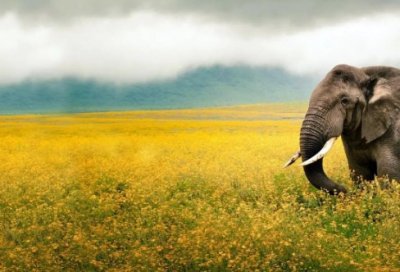 ​年轻时最好的投资是什么？