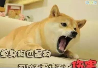 秋天情话的短句唯美