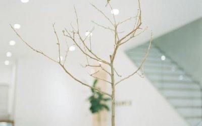 ​青春校园励志语录（高中校园青春励志电影）