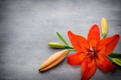 ​目光所及皆是温柔的励志句子唯美短句 ，百看不厌