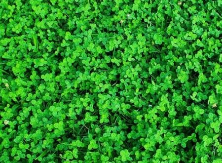 超丧的网名，超级颓废的非主流伤感名字