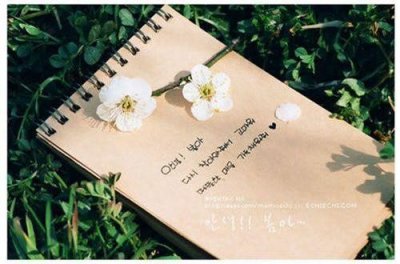 ​舍己为人英文谚语