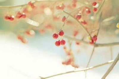 ​形容为人处事的谚语38句