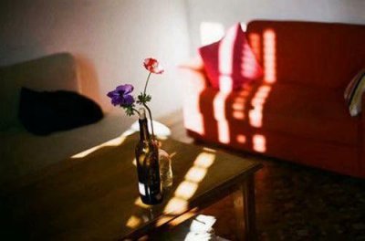 ​形容女人的谚语36句