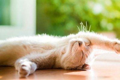 ​与观察有关的谚语26句