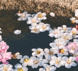 ​霸气文艺网名女生带符号