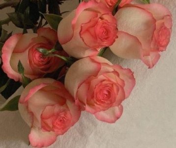 ​字的谚语35句