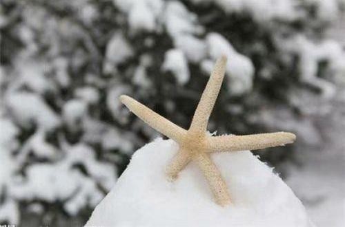 关爱他人的谚语二年级下册语文