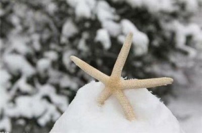 ​关于行为的英语谚语