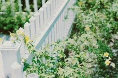 ​稻的谚语27句