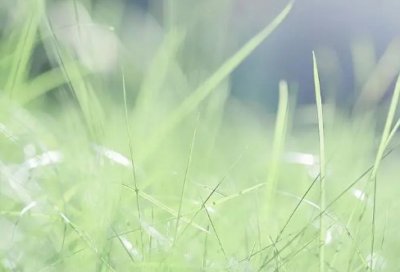 ​古风情侣cp名字2个字