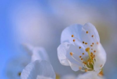 ​游戏六字古风id