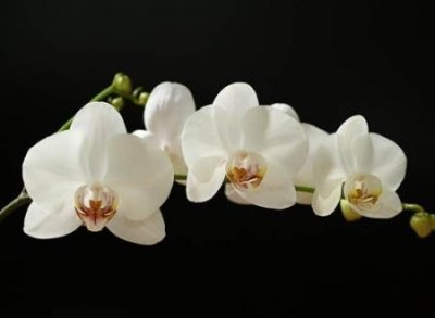 ​冷漠绝情的网名，狠心绝情让人心寒的伤感微信名字