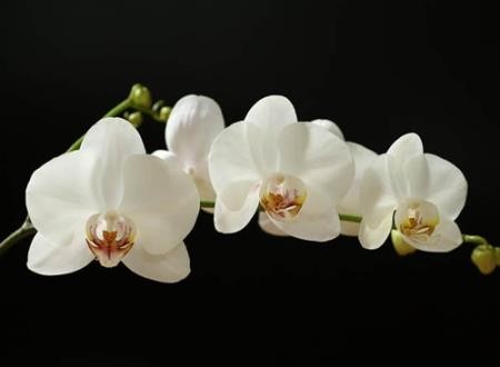 冷漠绝情的网名，狠心绝情让人心寒的伤感微信名字