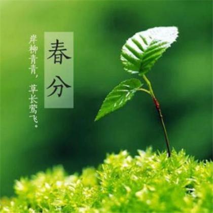 被骗了钱后的感悟