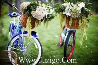 ​2025年新年励志名言62句