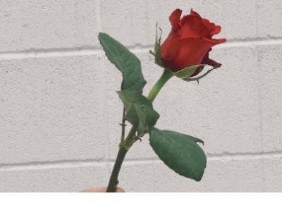 抖音很霸气很拽的句子