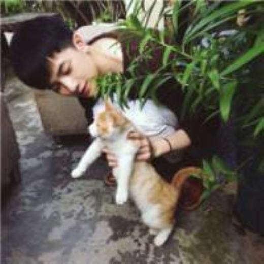 抖音很霸气很拽的句子