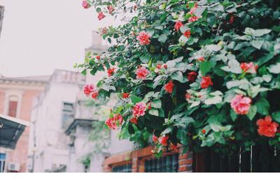 古风句子超拽霸气