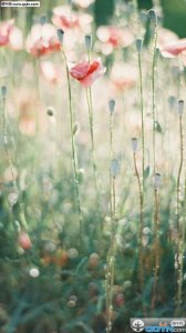 ​霸气别触碰底线说说[30条] (请触碰我内心的黑暗)