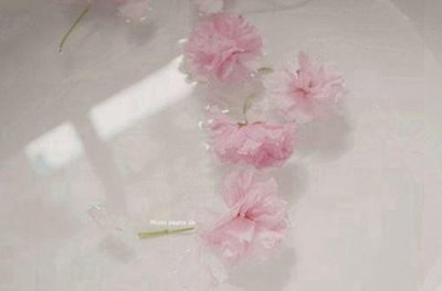 ​关于团结的谚语85句