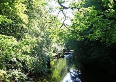 ​学问的谚语85句