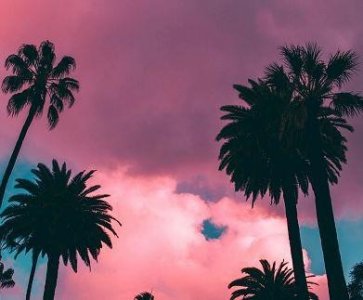 ​眼晴谚语86句