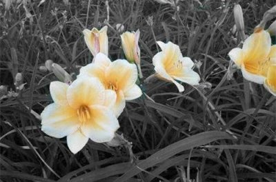 ​关于志的谚语85句