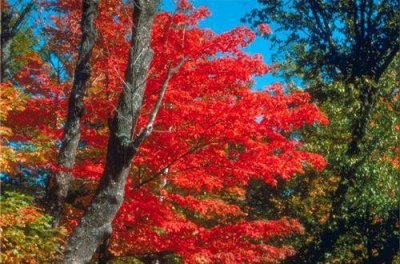 ​形容农耕的谚语86句