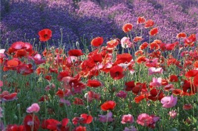 ​关于鼓励他人的谚语72句