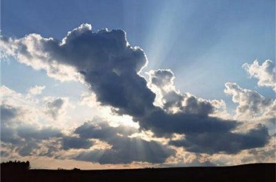 ​形容人虚伪的谚语10句