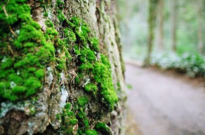 ​主要的造句67句