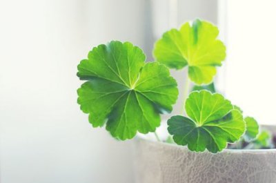 ​一年级用注视造句大全82句