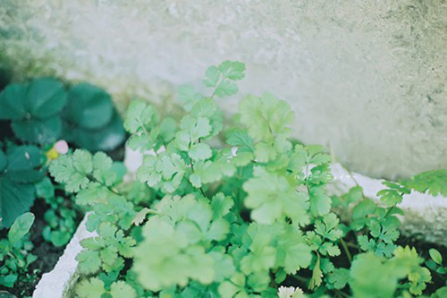 果然造句大全100句