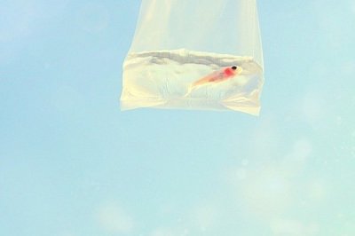 ​出于造句107句