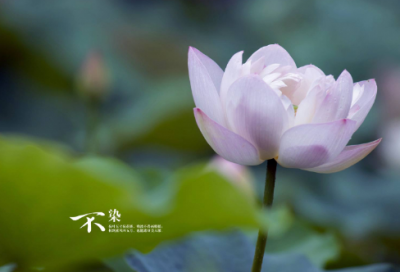 ​我多想我多想造句一年级下册58句