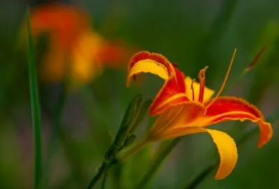 ​英文字母造句