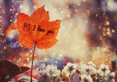 经典说说大全朋友圈(2026很成熟很现实的一段话)