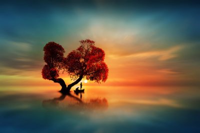 ​人生感悟句句说到心坎上的句子