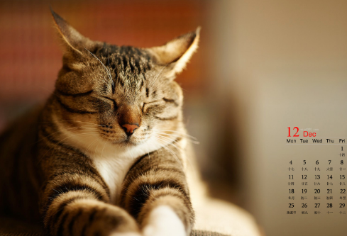 1691851713115484.png image.png