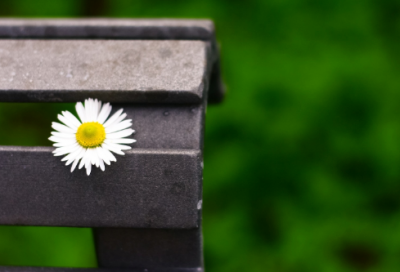 ​唯美女生网名简短的小清新246个