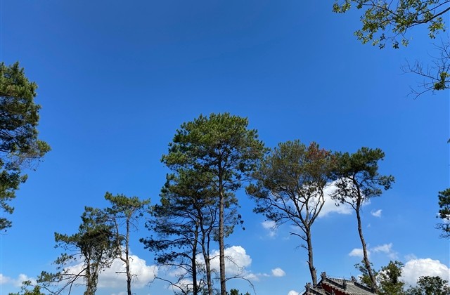 王者荣耀有创意非常秀的名字(共196个) 王者荣耀有创意非常秀的名字(共196个)