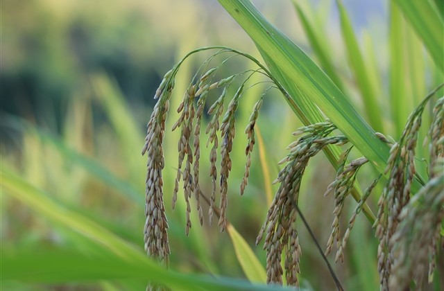 王者荣耀有创意非常秀的名字(共196个) 王者荣耀有创意非常秀的名字(共196个)