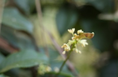 ​王者荣耀有创意非常秀的名字(共196个)