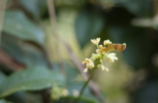 王者荣耀有创意非常秀的名字(共196个) 王者荣耀有创意非常秀的名字(共196个)
